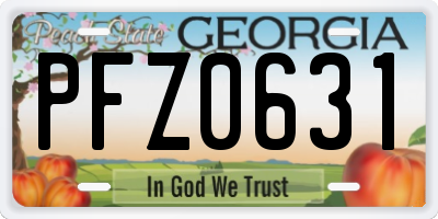 GA license plate PFZ0631