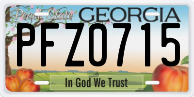 GA license plate PFZ0715