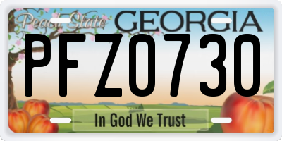 GA license plate PFZ0730