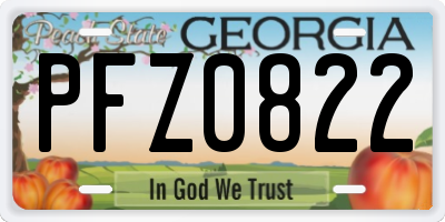 GA license plate PFZ0822