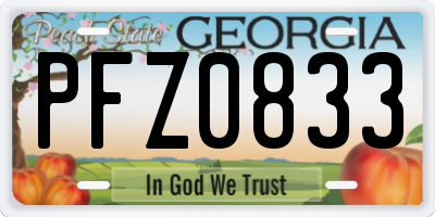GA license plate PFZ0833