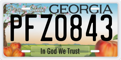 GA license plate PFZ0843