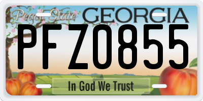GA license plate PFZ0855