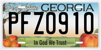 GA license plate PFZ0910