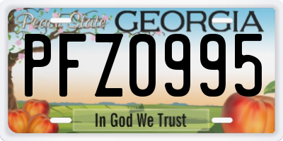 GA license plate PFZ0995