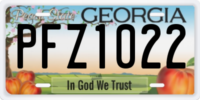 GA license plate PFZ1022