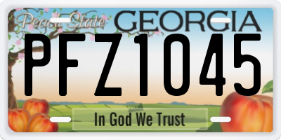 GA license plate PFZ1045