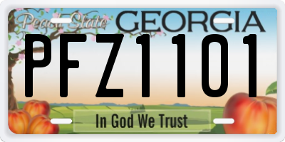 GA license plate PFZ1101