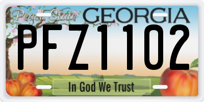 GA license plate PFZ1102