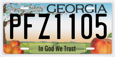 GA license plate PFZ1105