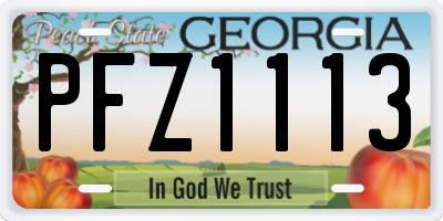 GA license plate PFZ1113