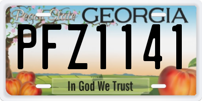 GA license plate PFZ1141
