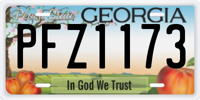 GA license plate PFZ1173