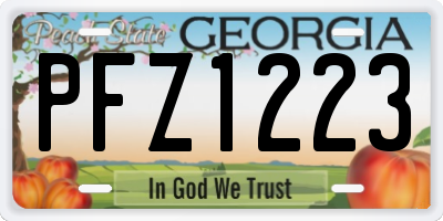 GA license plate PFZ1223