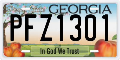 GA license plate PFZ1301
