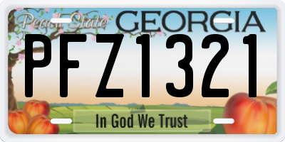 GA license plate PFZ1321