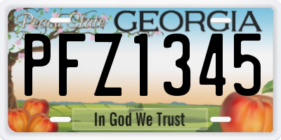 GA license plate PFZ1345