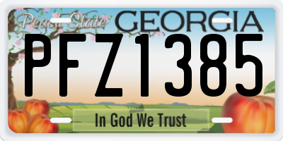 GA license plate PFZ1385