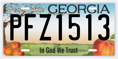 GA license plate PFZ1513