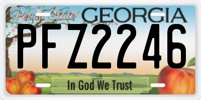 GA license plate PFZ2246