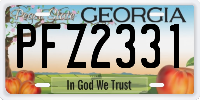 GA license plate PFZ2331
