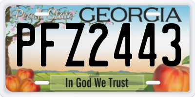 GA license plate PFZ2443