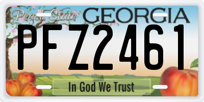 GA license plate PFZ2461