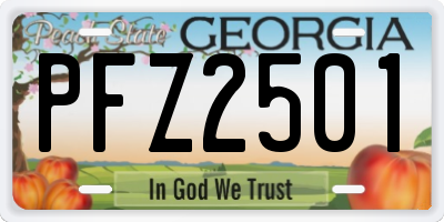 GA license plate PFZ2501