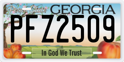 GA license plate PFZ2509