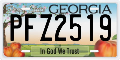 GA license plate PFZ2519