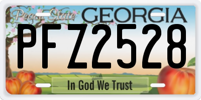 GA license plate PFZ2528