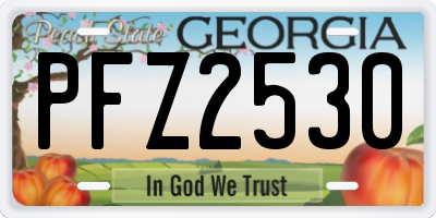 GA license plate PFZ2530