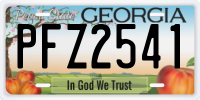 GA license plate PFZ2541