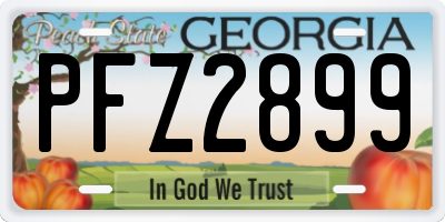 GA license plate PFZ2899