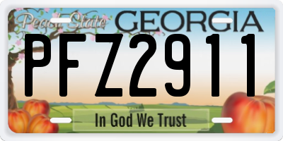 GA license plate PFZ2911