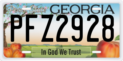 GA license plate PFZ2928