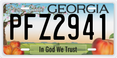 GA license plate PFZ2941