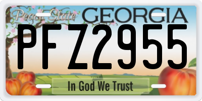 GA license plate PFZ2955