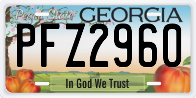 GA license plate PFZ2960
