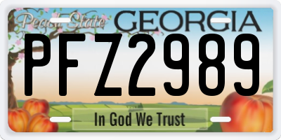 GA license plate PFZ2989