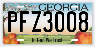 GA license plate PFZ3008