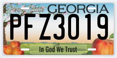 GA license plate PFZ3019