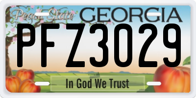 GA license plate PFZ3029