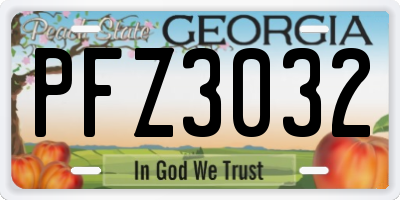 GA license plate PFZ3032