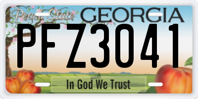 GA license plate PFZ3041