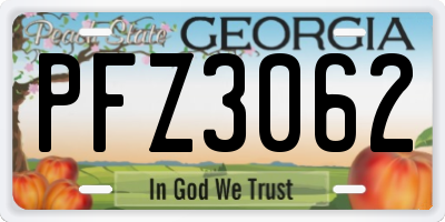 GA license plate PFZ3062