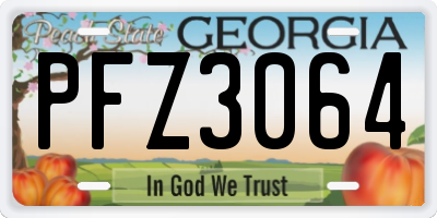 GA license plate PFZ3064