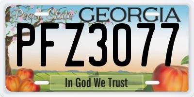 GA license plate PFZ3077