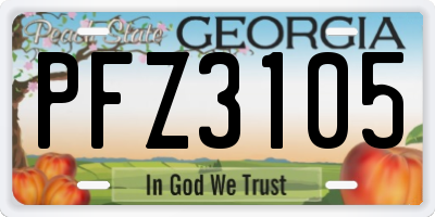 GA license plate PFZ3105