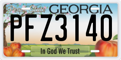 GA license plate PFZ3140